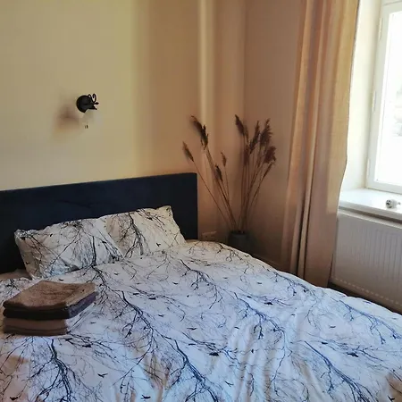 Apartment Stylish With Sauna *