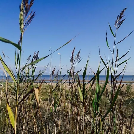 Stylish With Sauna * Kuressaare