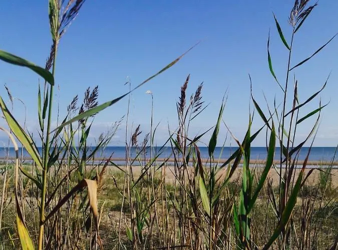 Stylish With Sauna * Kuressaare